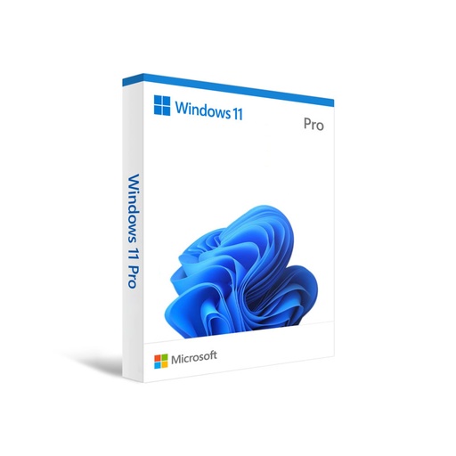Phần mềm Microsoft Windows 11 Pro 64-bit Eng Intl 1pk DSP OEI DVD FQC-10528